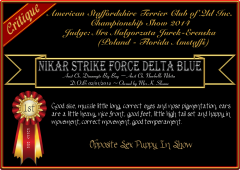Nikar Strike Force Delta Blue.png